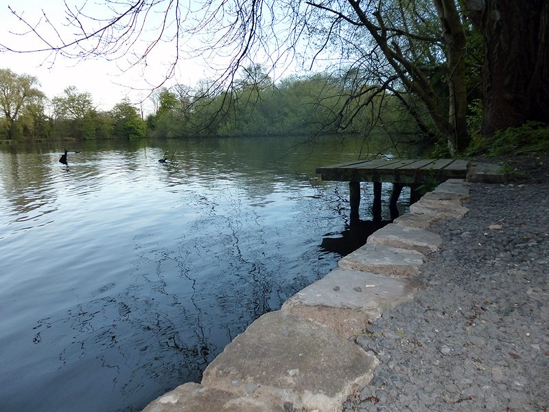 Abbey Lakes Fishery Orrell