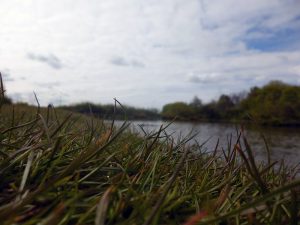 Chequer Lane Fishing Lake 4 - low shot of the lake