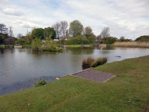 Chequer Lane Fishing Lake 2 - Long short of lake